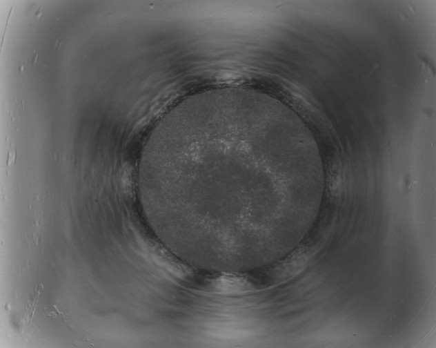 X0000103290270200809051506