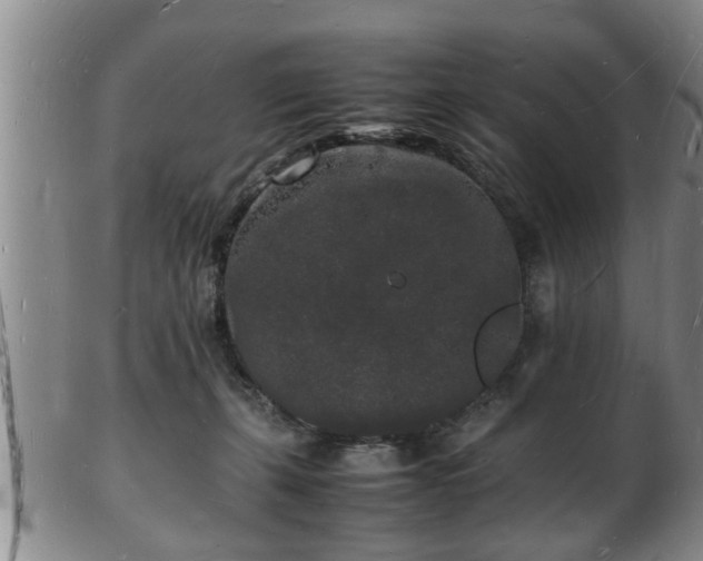 X0000103290271200809051506