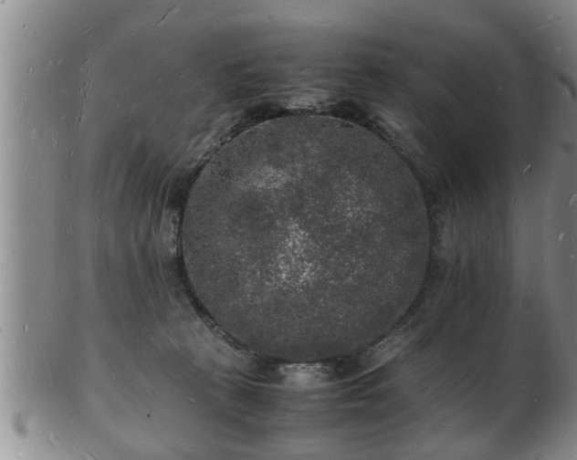 X0000103290273200809051506