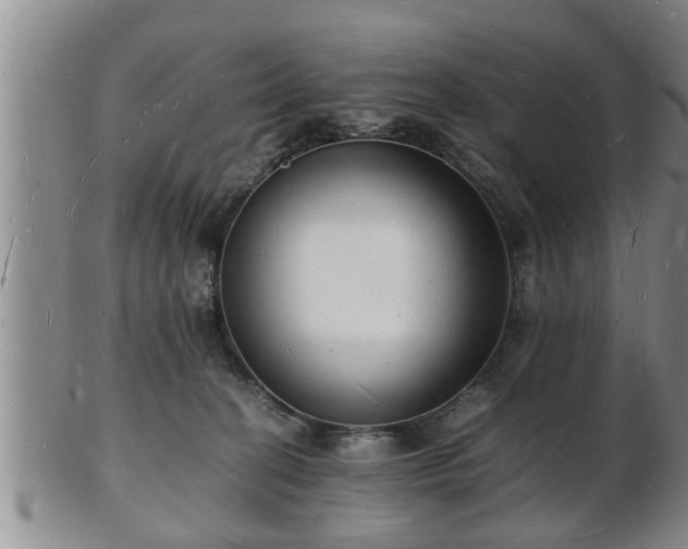 X0000103290274200809051506