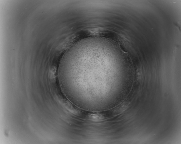 X0000103290275200809051506