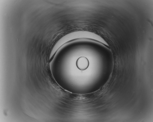 X0000103290276200809051506