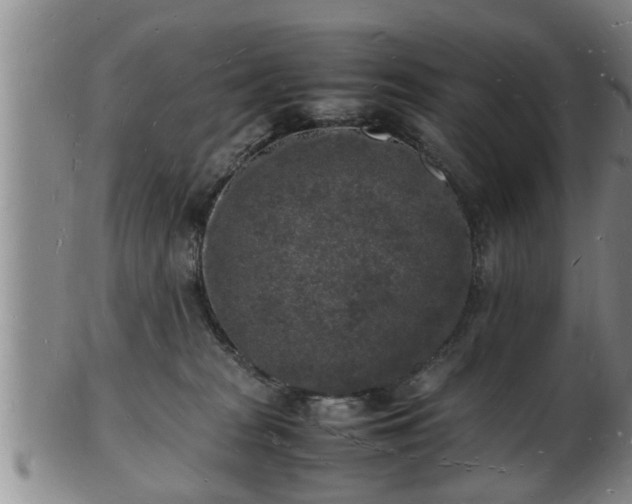 X0000103290277200809051506