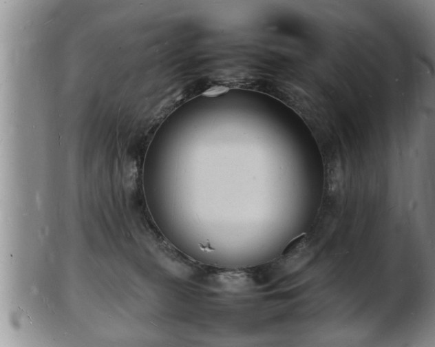 X0000103290279200809051506