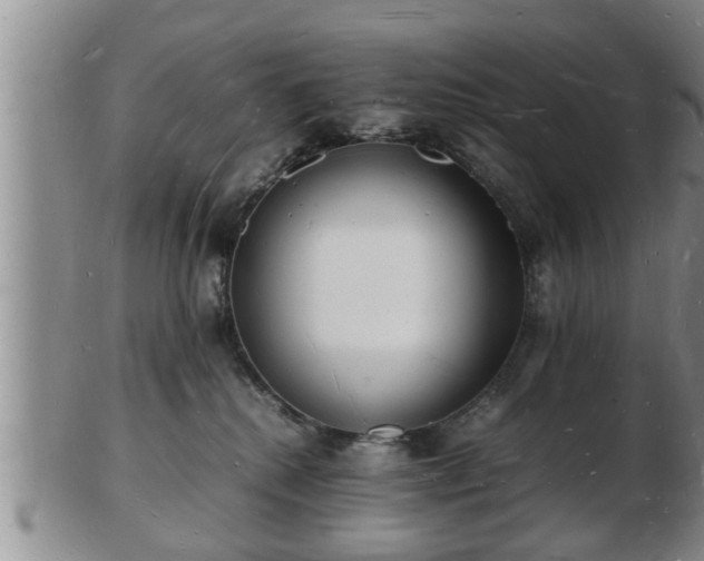 X0000103290280200809051507