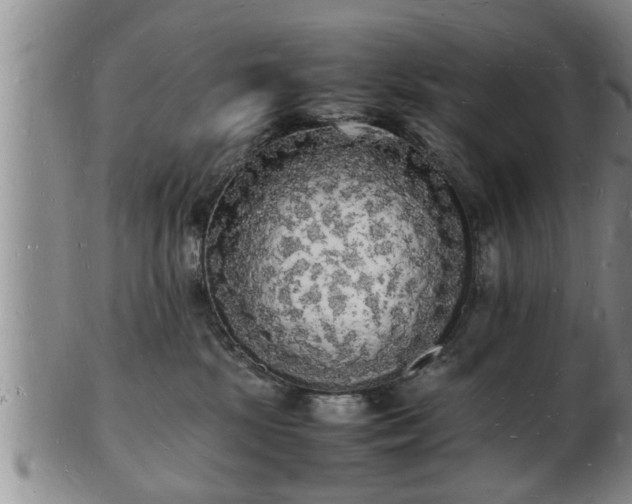 X0000103290281200809051507