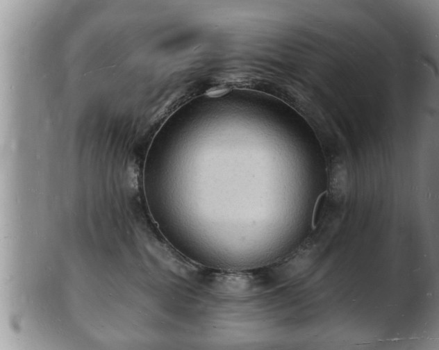 X0000103290282200809051507