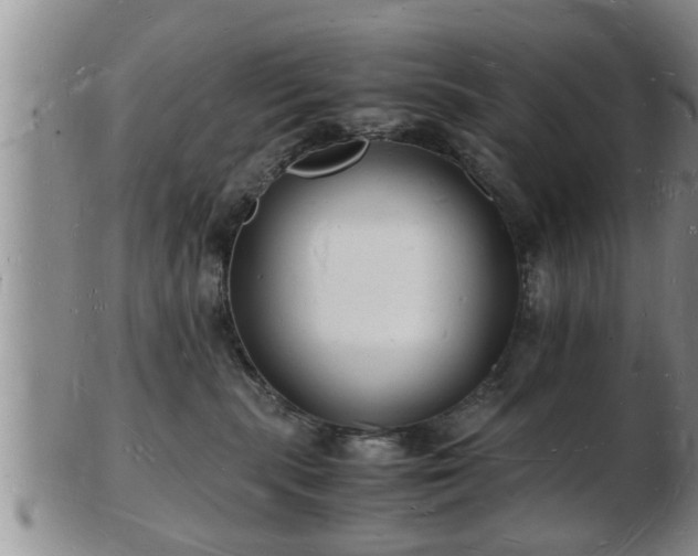 X0000103290283200809051507