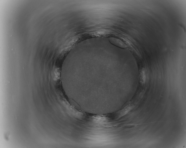 X0000103290284200809051507