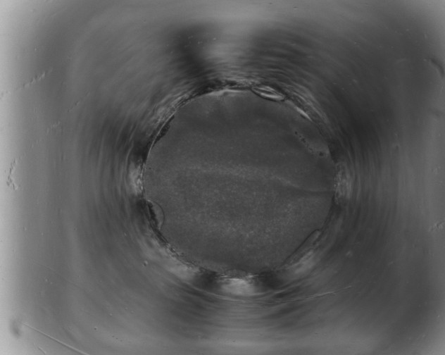 X0000103290285200809051507