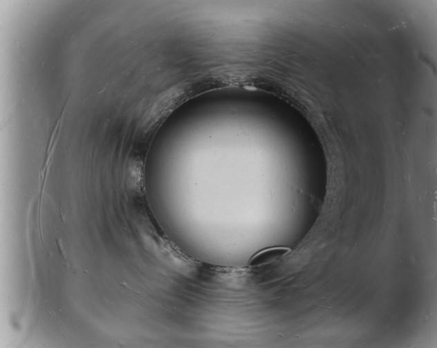 X0000103290288200809051507