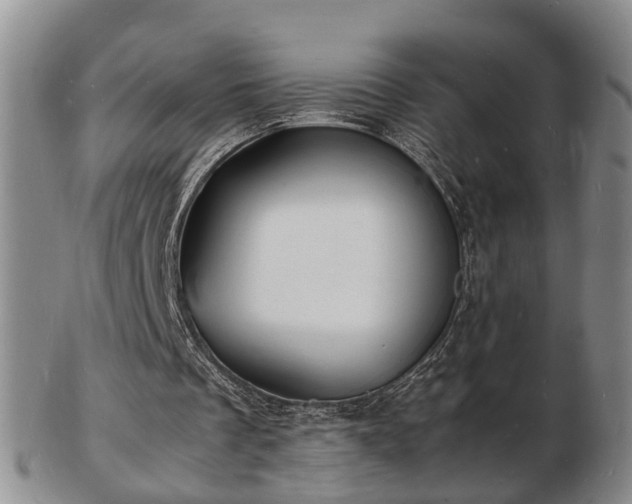 X0000103290289200809051506