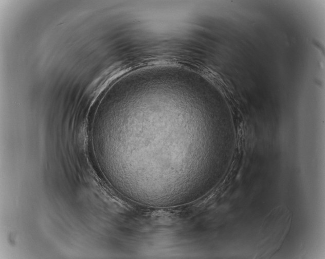 X0000103290290200809051506