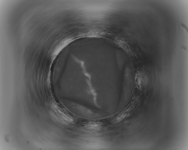 X0000103290292200809051506