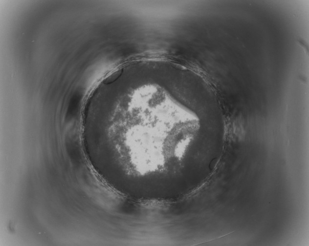 X0000103290293200809051506