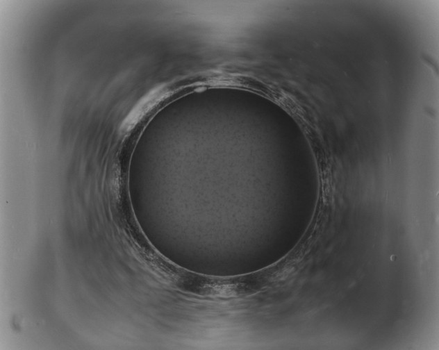 X0000103290295200809051506