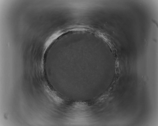 X0000103290296200809051506