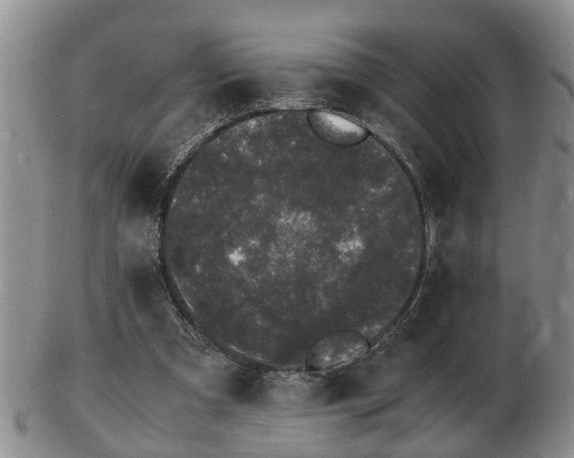 X0000103290297200809051506