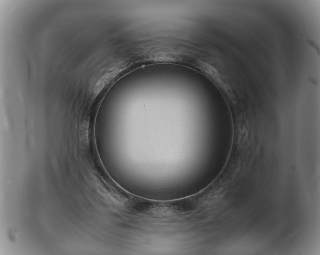 X0000103290299200809051506