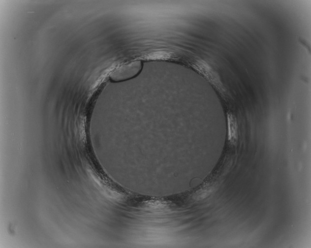 X0000103290300200809051506