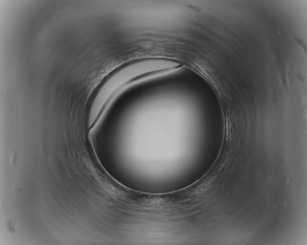 X0000103290301200809051506