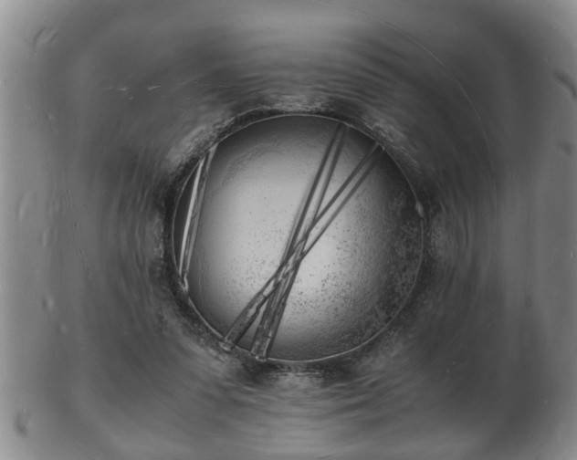 X0000103290303200809051506