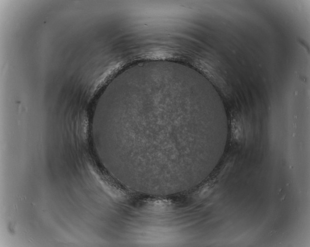 X0000103290304200809051506