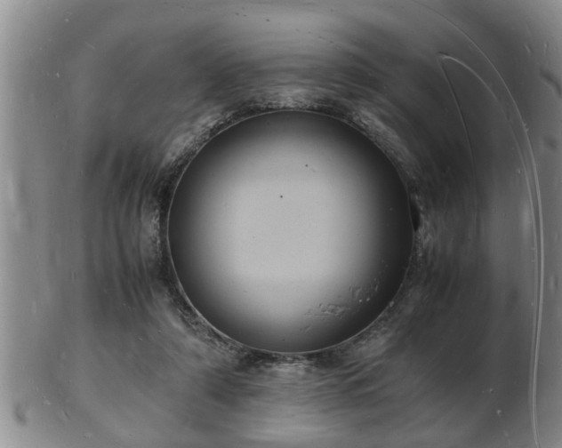 X0000103290306200809051506