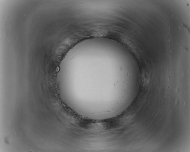 X0000103290307200809051506