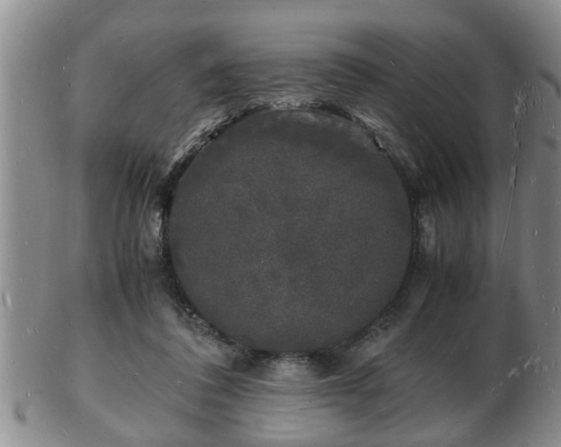 X0000103290308200809051506