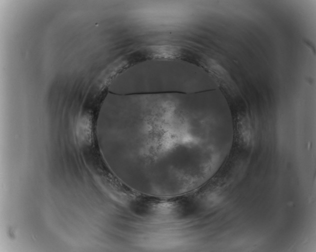 X0000103290312200809051506