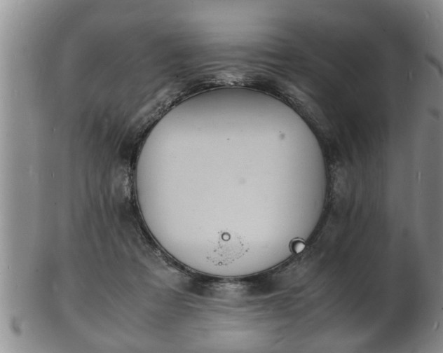 X0000103290313200809051506