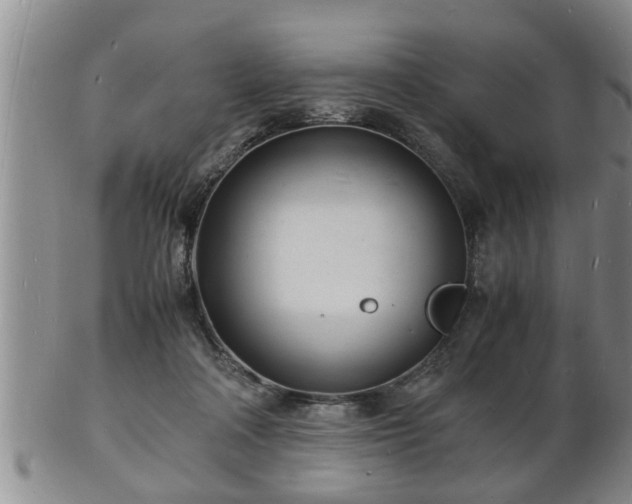 X0000103290314200809051506