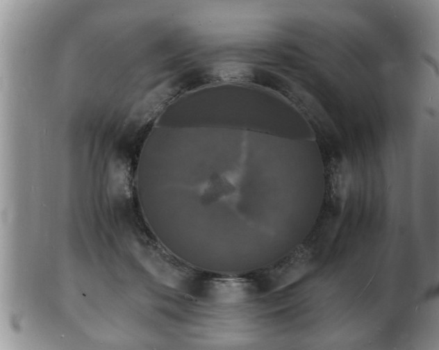 X0000103290316200809051506