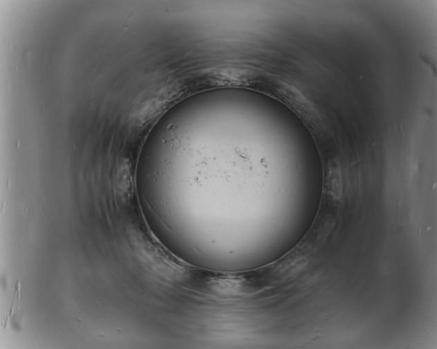 X0000103290318200809051505