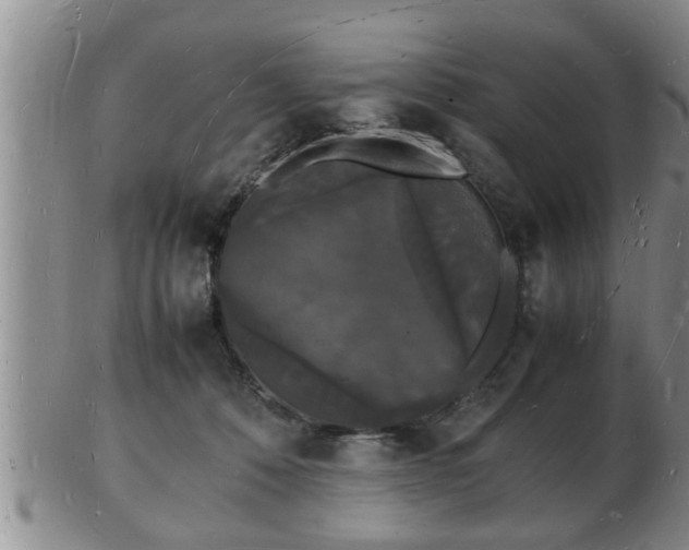 X0000103290320200809051505