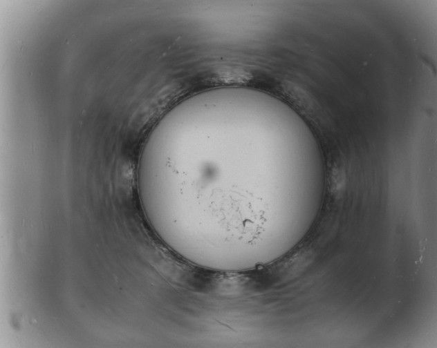 X0000103290321200809051505