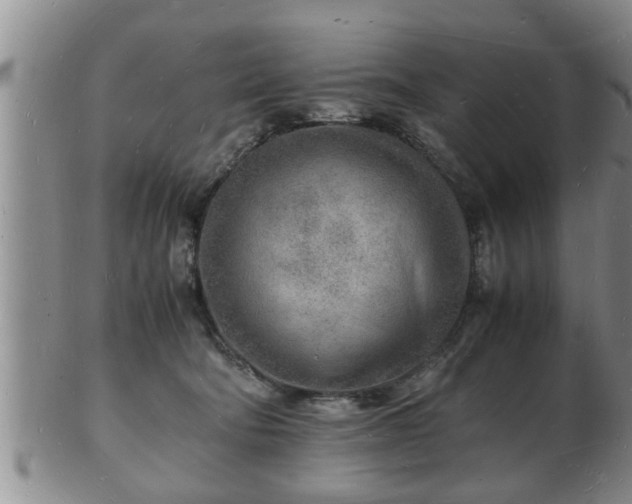 X0000103290322200809051505