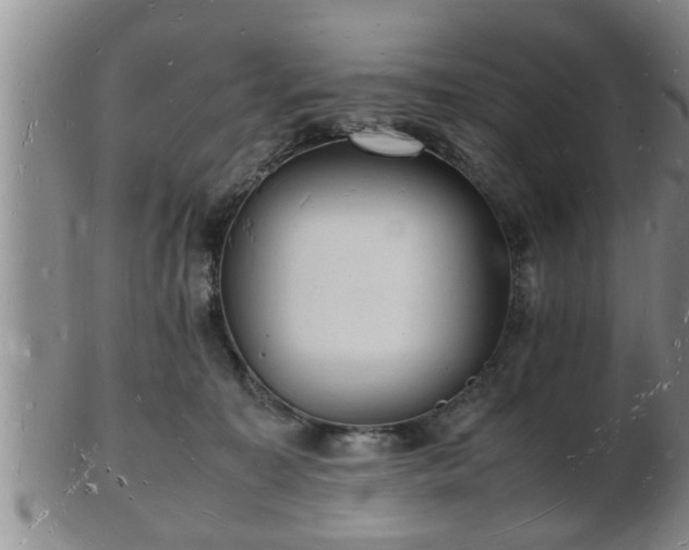 X0000103290323200809051505