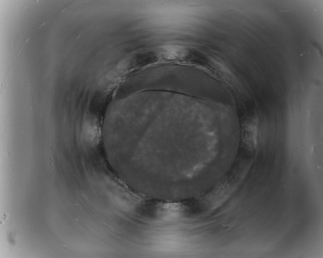 X0000103290324200809051505