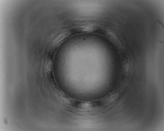 X0000103290325200809051505