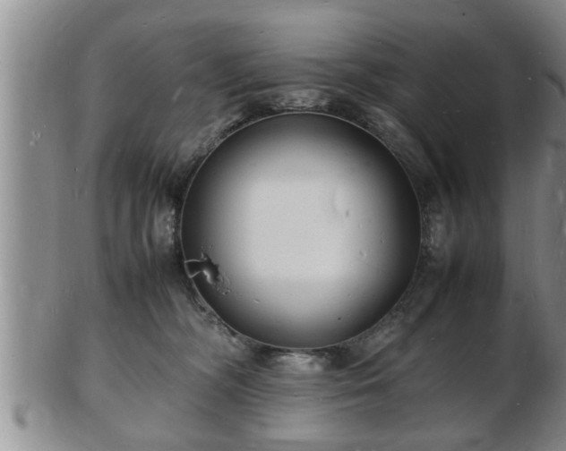 X0000103290326200809051505