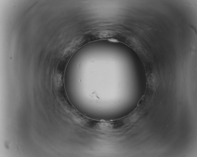 X0000103290327200809051505