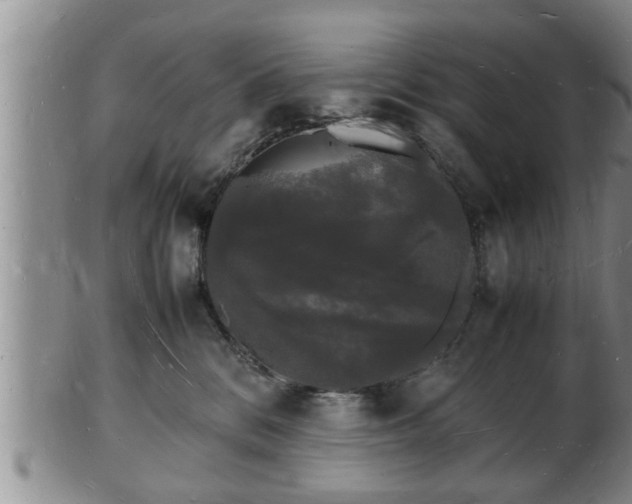 X0000103290328200809051505