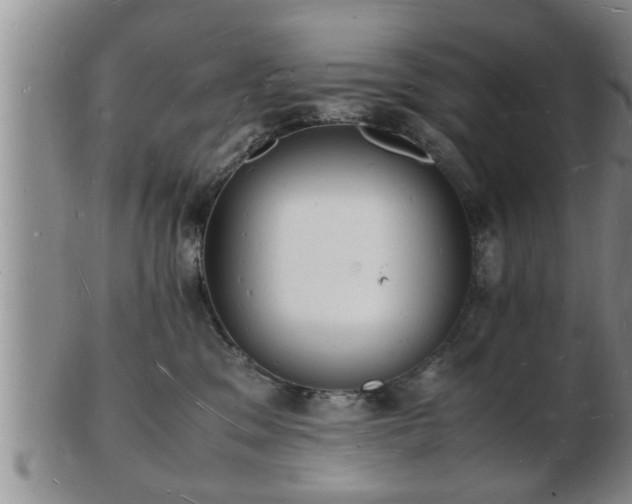 X0000103290329200809051505