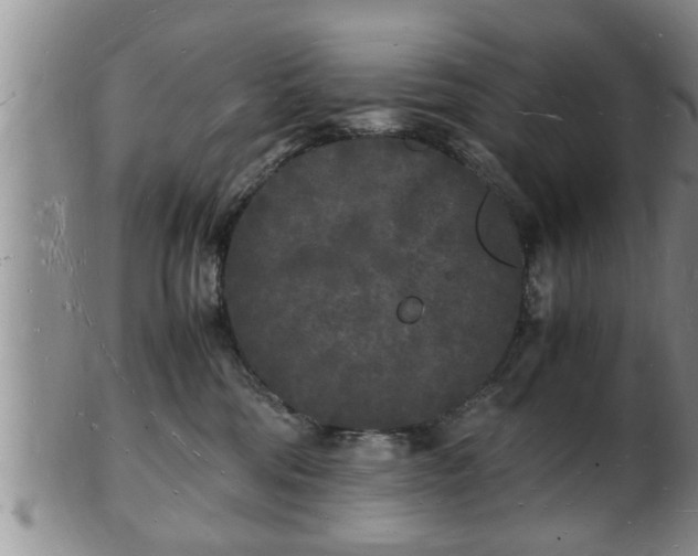 X0000103290330200809051505