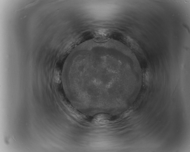 X0000103290331200809051505