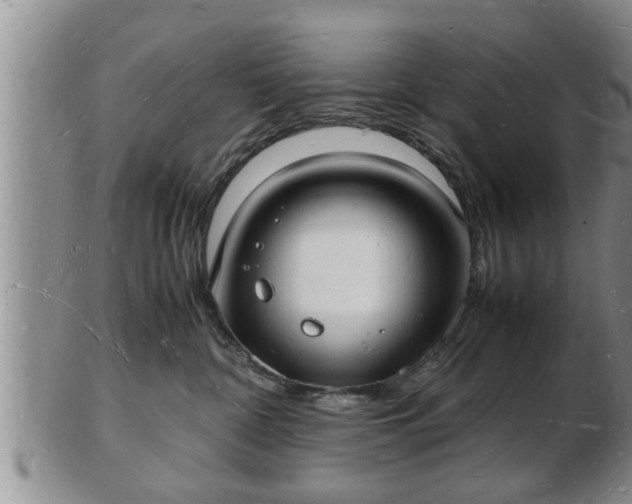 X0000103290332200809051505