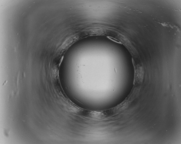 X0000103290333200809051505