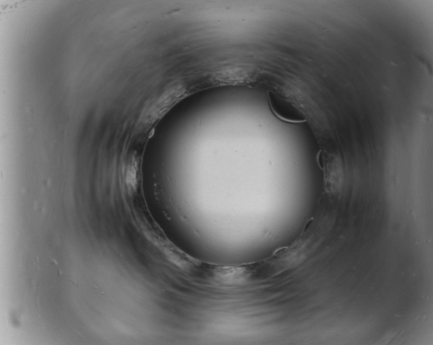 X0000103290334200809051505